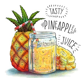 手绘新鲜菠萝和菠萝汁矢量图